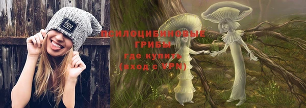 ALPHA-PVP Белокуриха